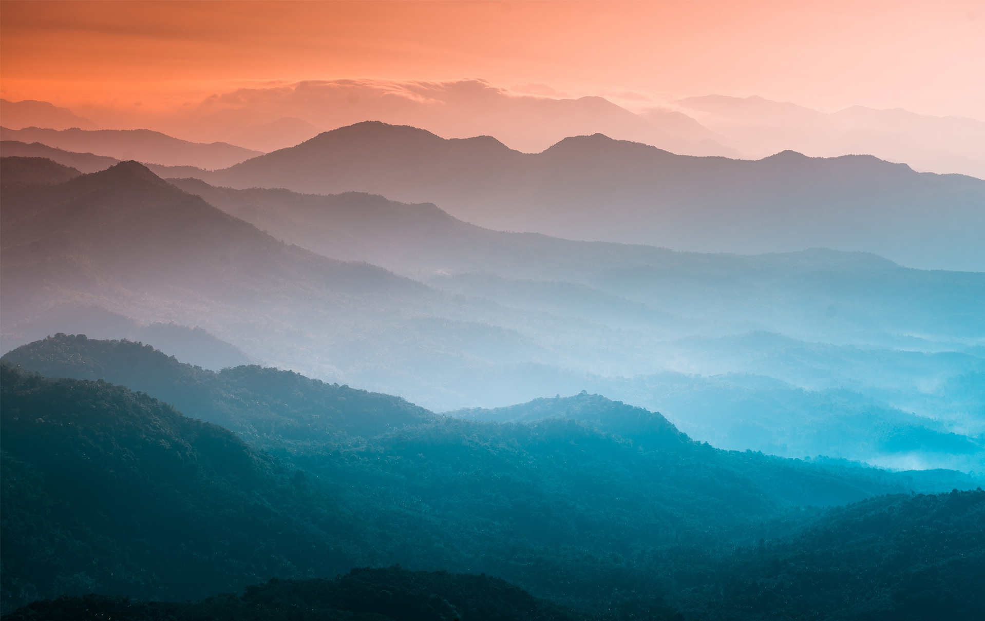 Leveraging User-Generated Content at Leading Food Brand